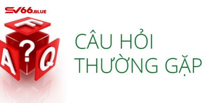 Câu hỏi về giao dịch nạp rút